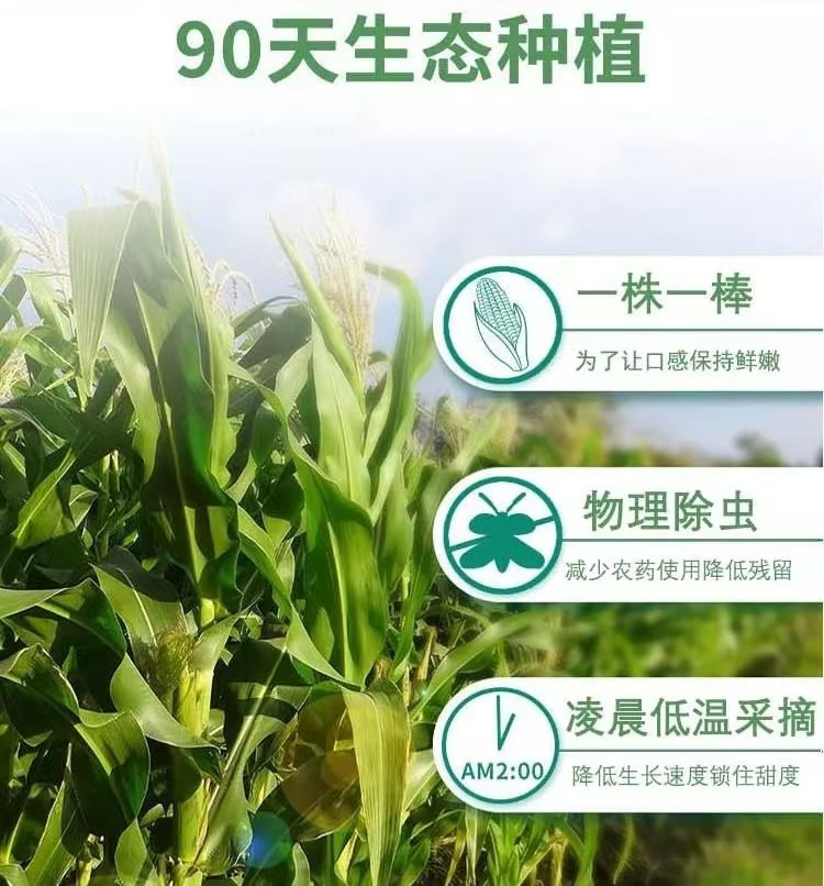 红蓝(中国区)股份有限公司-官网