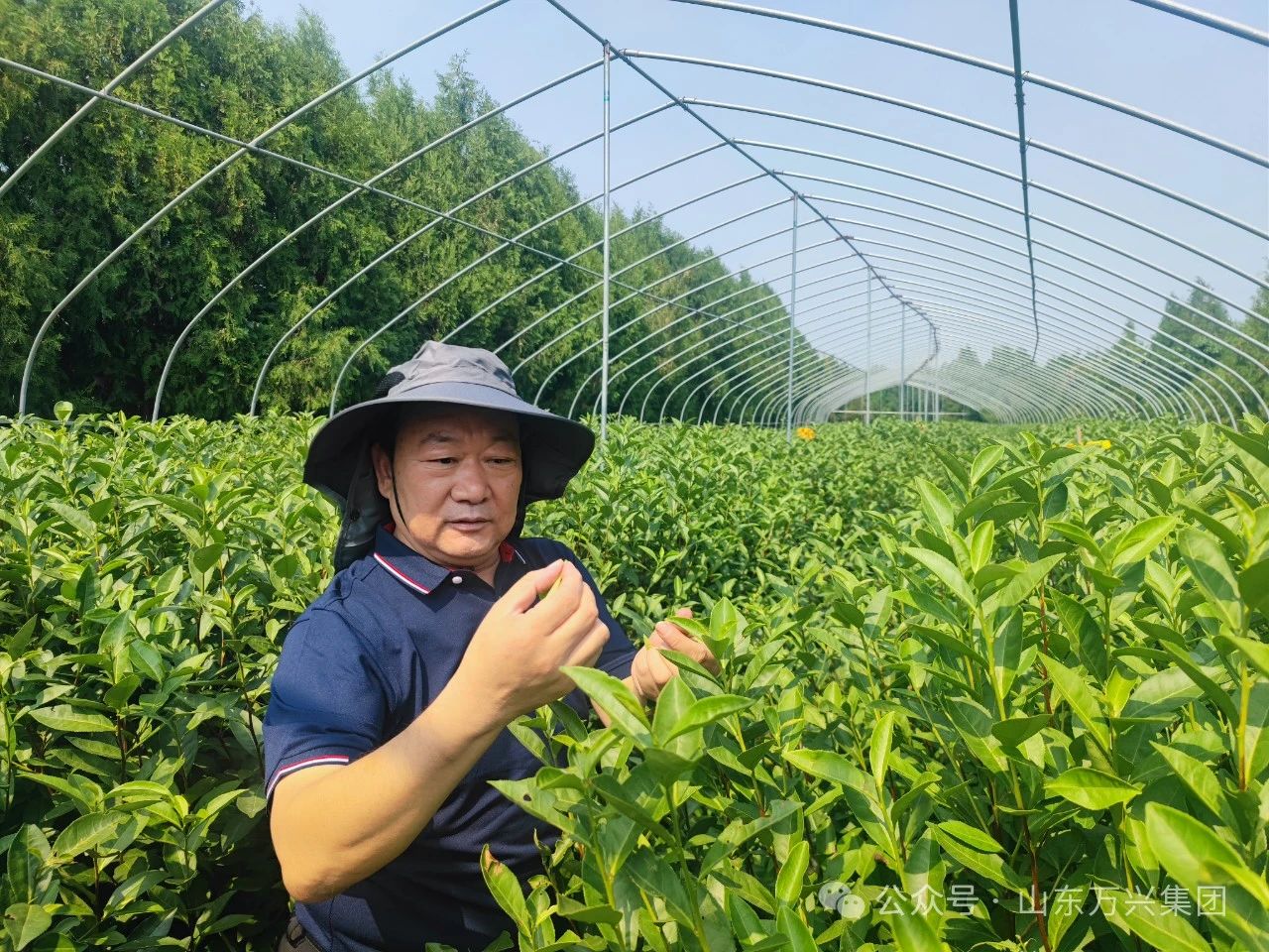 红蓝(中国区)股份有限公司-官网