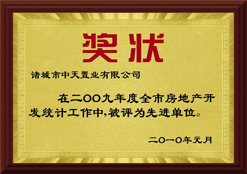 2009先进单元