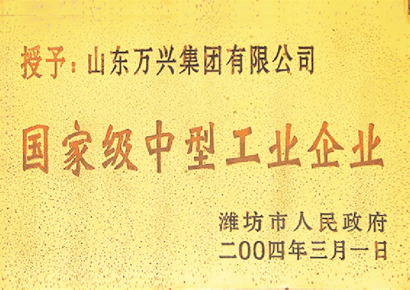 国度中型工业企业