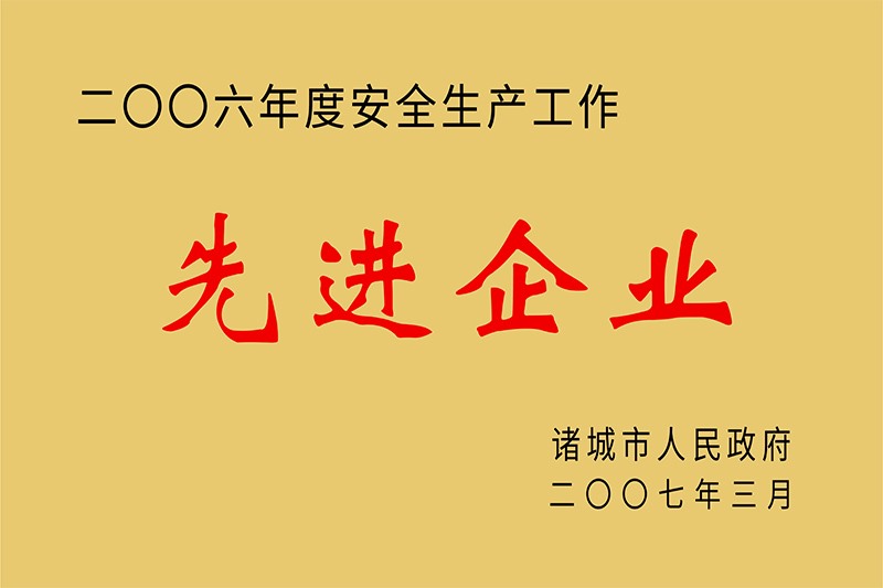2006年度先进企业