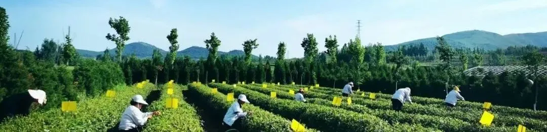 640?wx_fmt=jpeg 图片