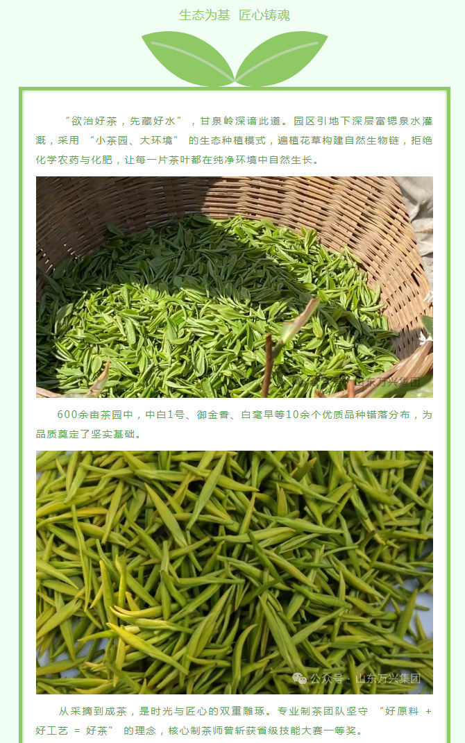 红蓝(中国区)股份有限公司-官网