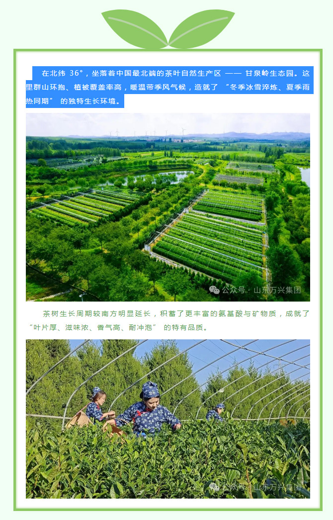 红蓝(中国区)股份有限公司-官网