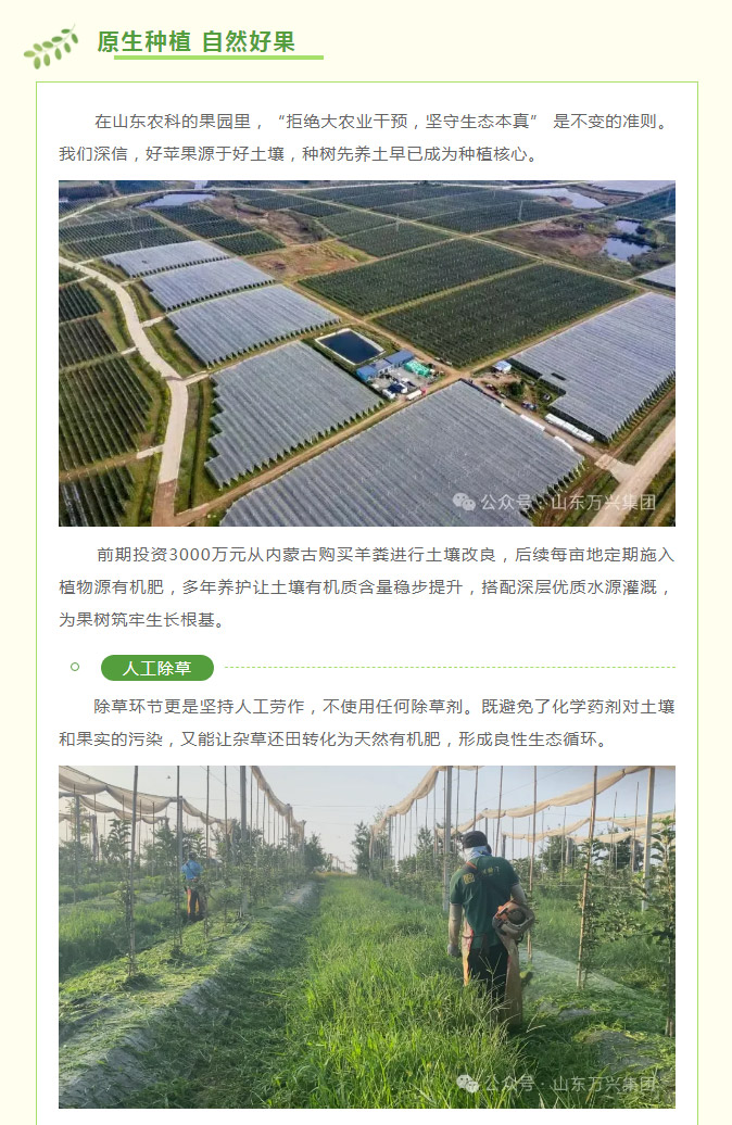 红蓝(中国区)股份有限公司-官网