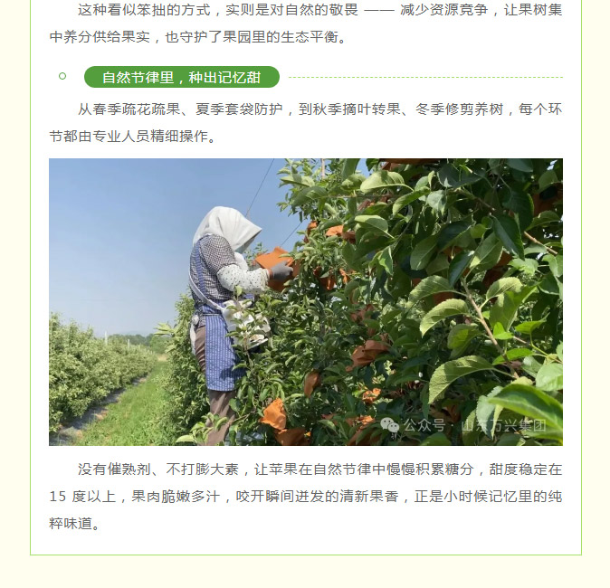 红蓝(中国区)股份有限公司-官网