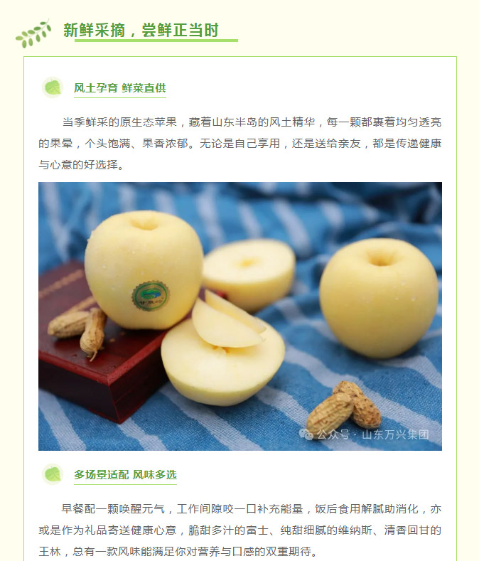 红蓝(中国区)股份有限公司-官网