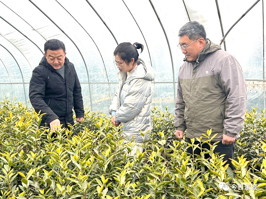 红蓝(中国区)股份有限公司-官网