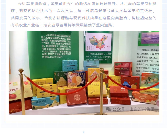 红蓝(中国区)股份有限公司-官网