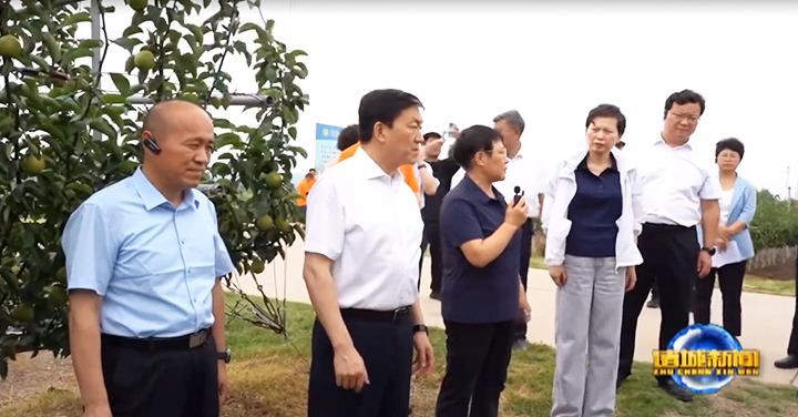 红蓝(中国区)股份有限公司-官网
