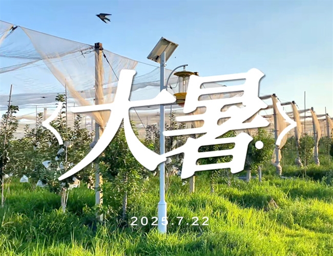大暑