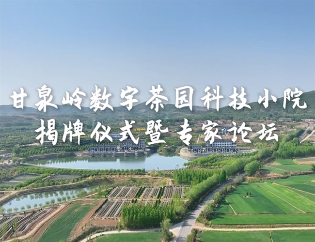 甘泉岭数字茶园科技小院揭牌典礼暨专家论坛