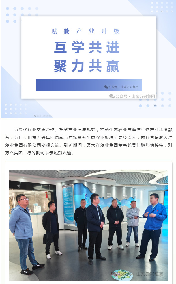 红蓝(中国区)股份有限公司-官网