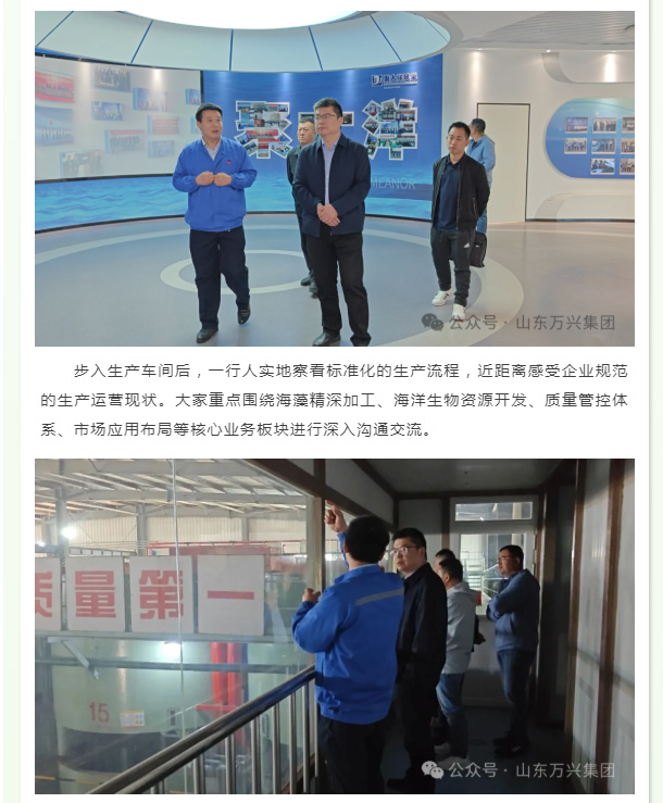 红蓝(中国区)股份有限公司-官网