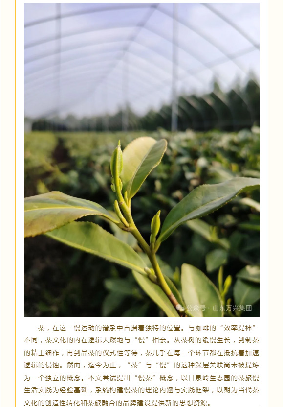 红蓝(中国区)股份有限公司-官网