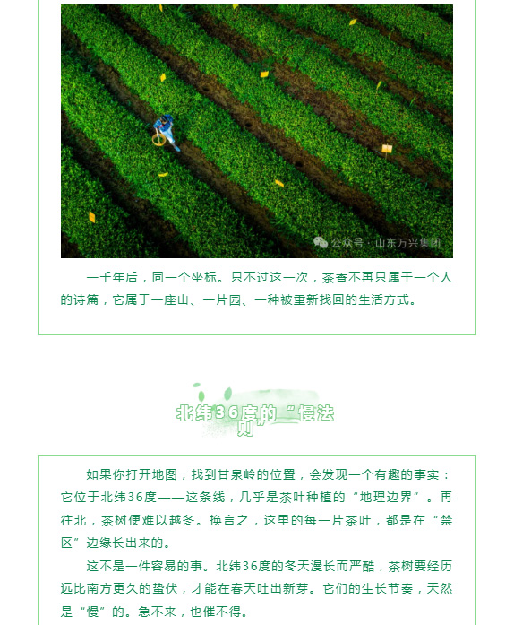 红蓝(中国区)股份有限公司-官网