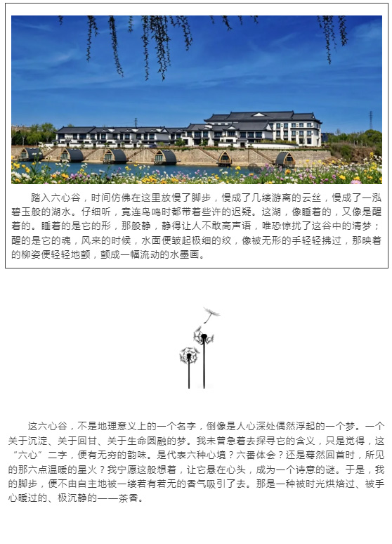 红蓝(中国区)股份有限公司-官网