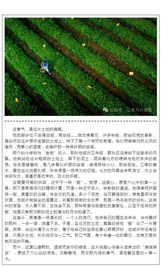 红蓝(中国区)股份有限公司-官网