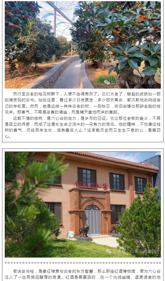 红蓝(中国区)股份有限公司-官网