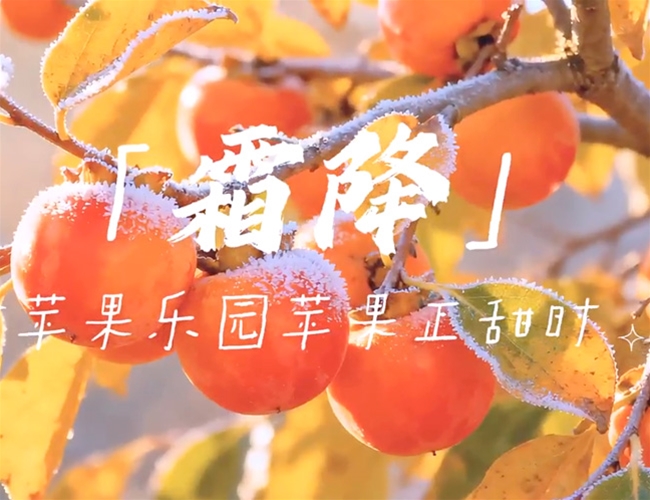 霜降