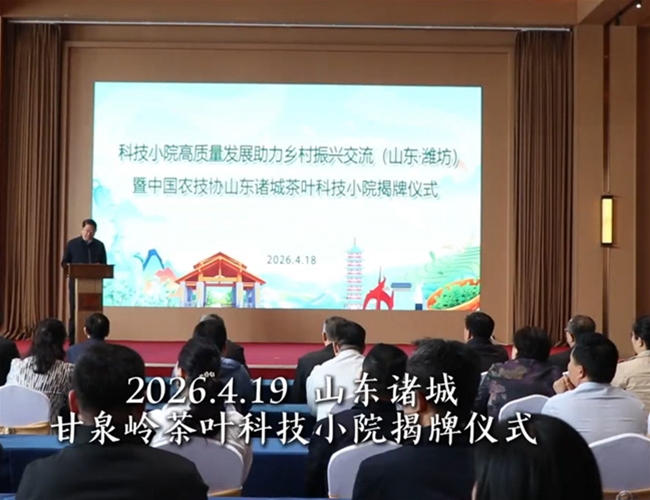 甘泉岭茶叶科技小院揭牌典礼