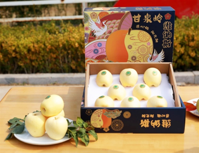 维纳斯黄金