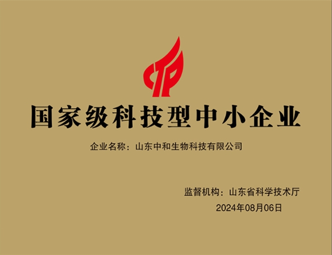 国度级科技型中小企业